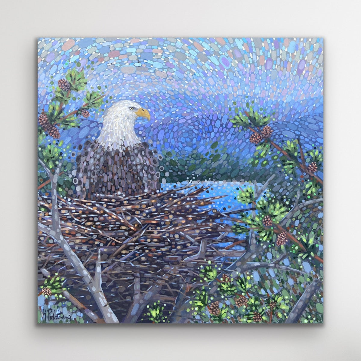 Aerial View Canvas Print