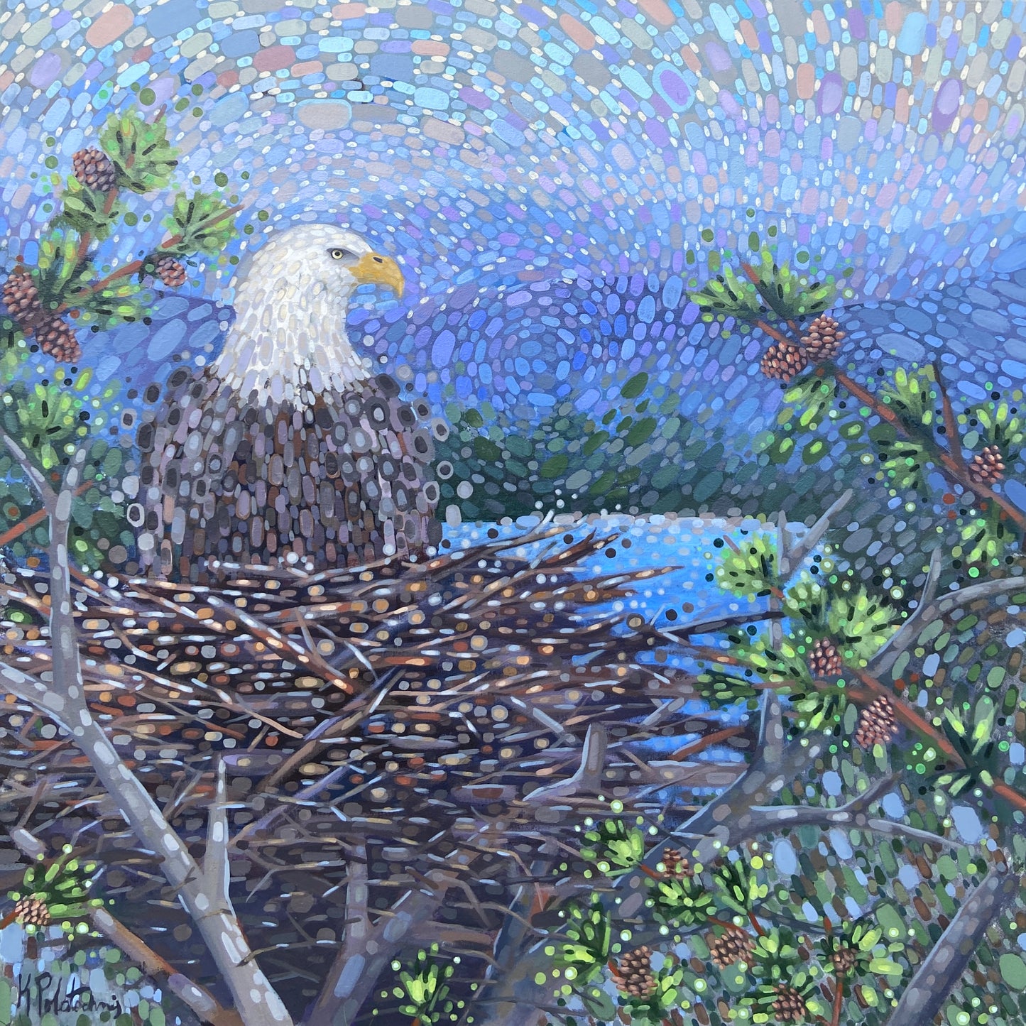 Aerial View Canvas Print