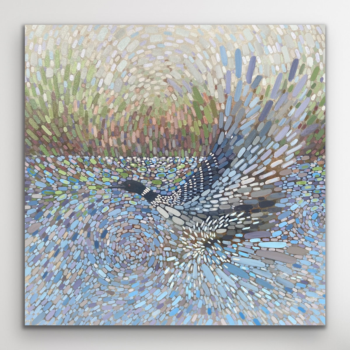 Loon Canvas Print - Running Start