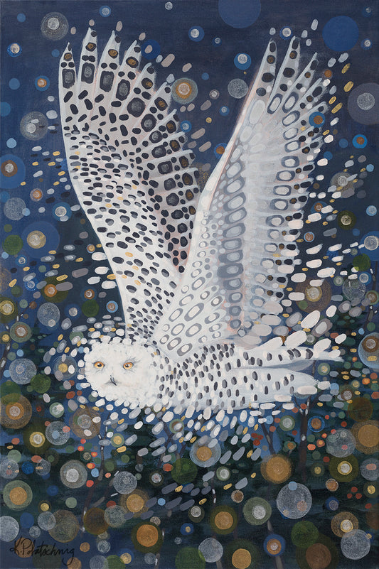 Owl Spirit - Canvas Print